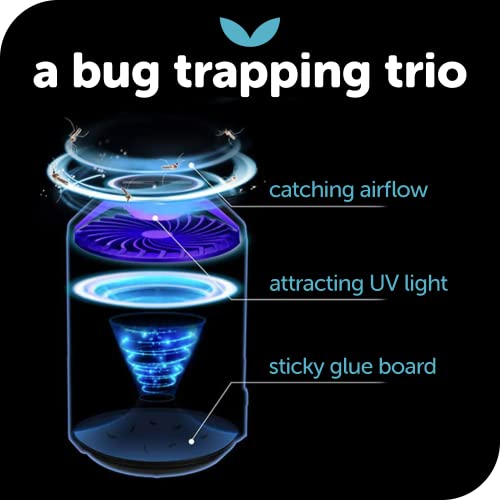 KATCHY Indoor Plug-in Insect Trap - Catcher & Killer for House Flies, Mosquitoes, Fruit Flies, Gnants, and Mosquitos - Chemical-Free, Eco-Friendly, Easy to Clean (2 Pack with 8 Glue Boards)